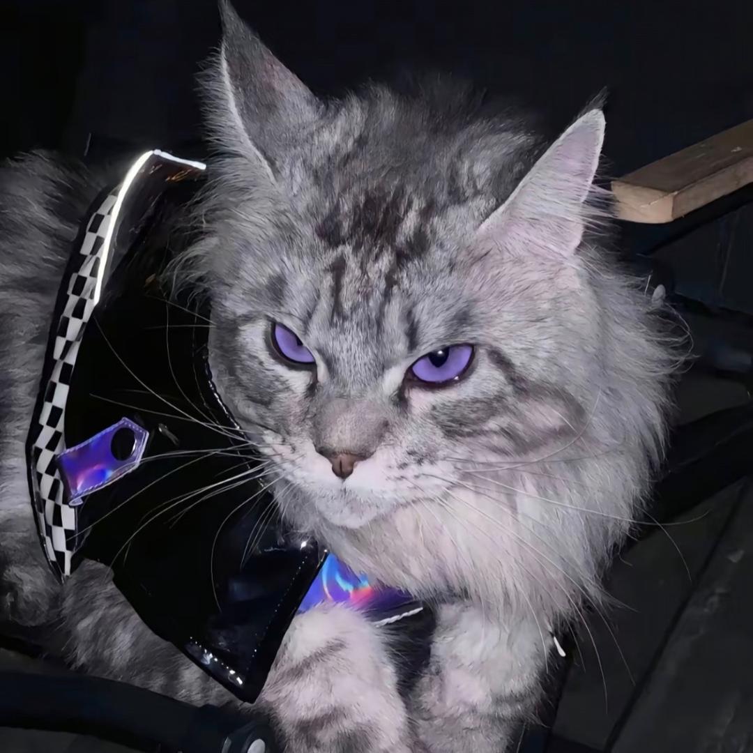 AAA鸡蛋批发林老板