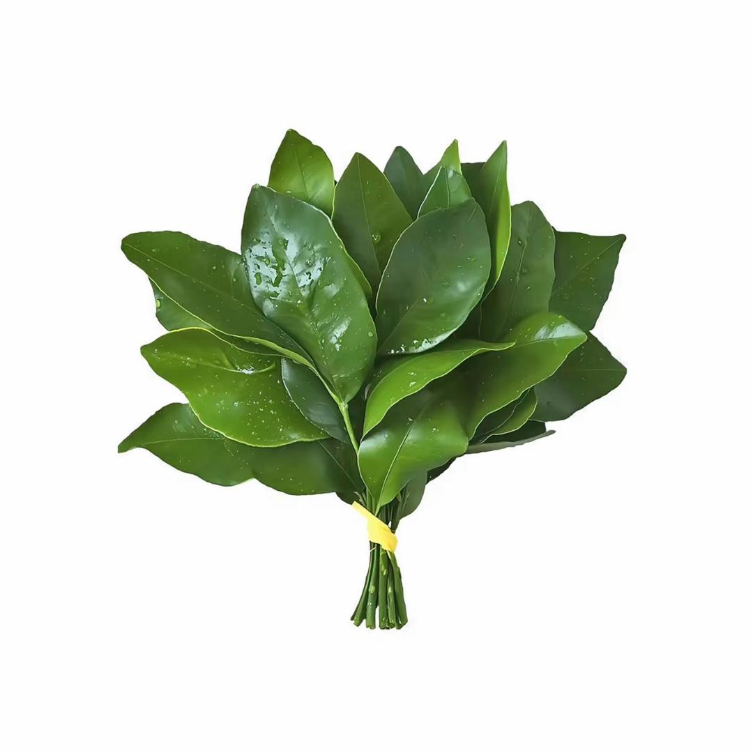 晚安