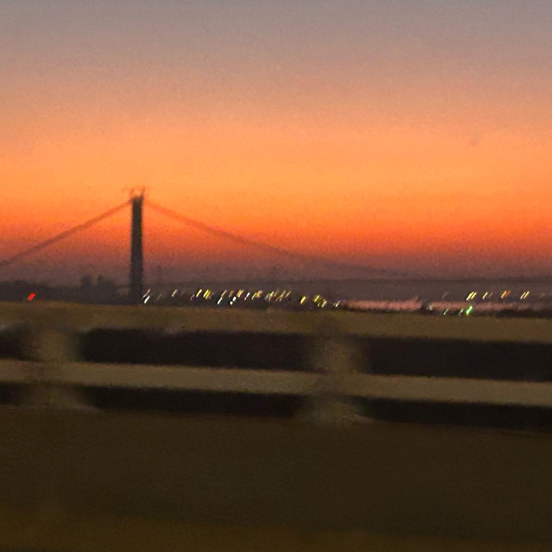 爱吃奶酪的小老鼠