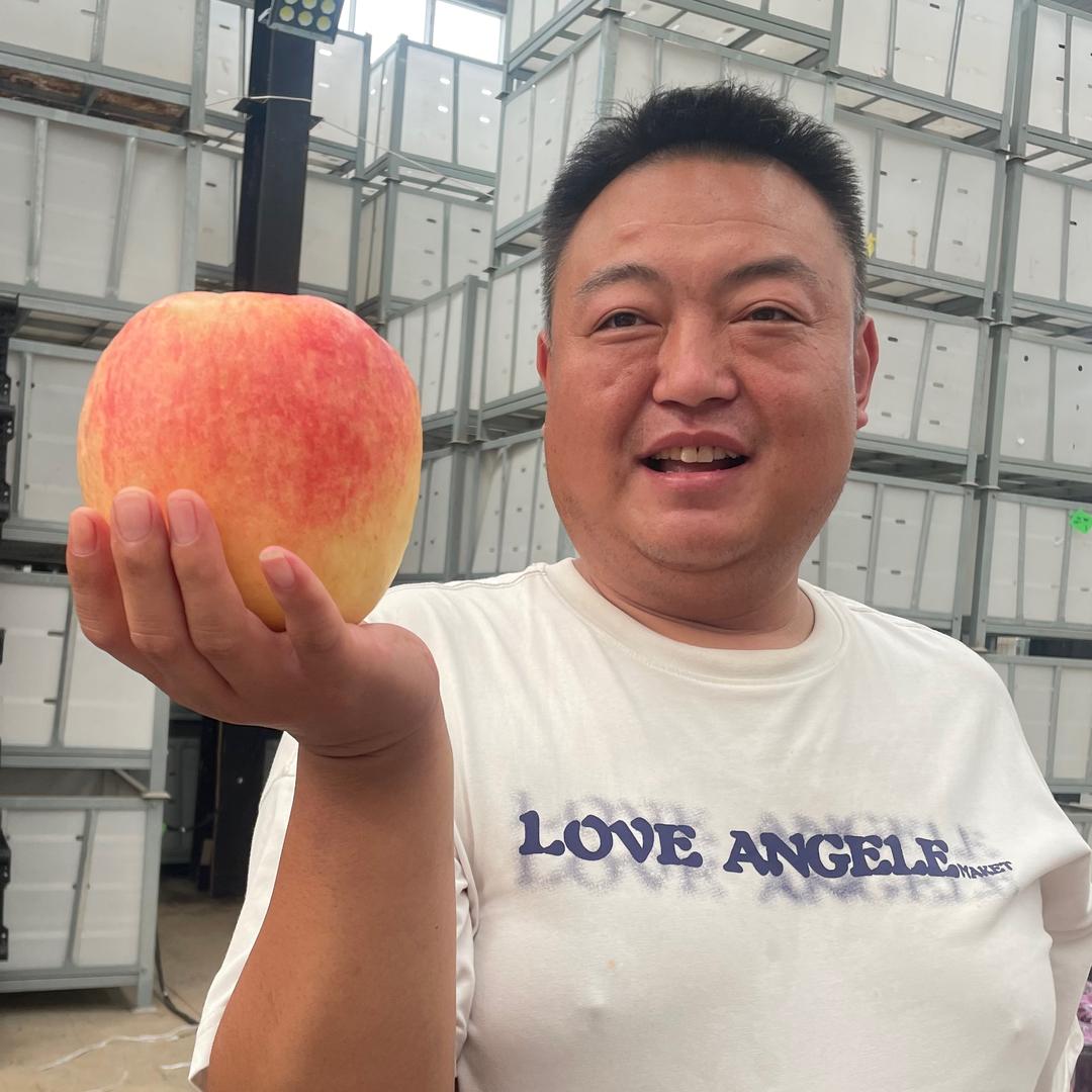 三门峡纸加膜红富士苹果🍎代办（石原小卫