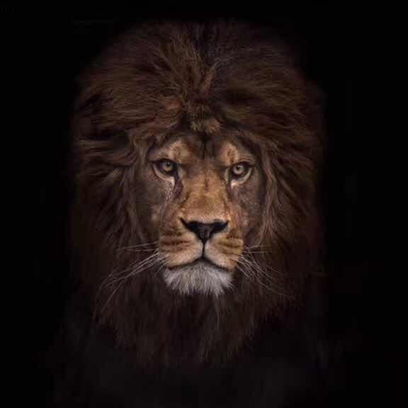 畅通二手车批发