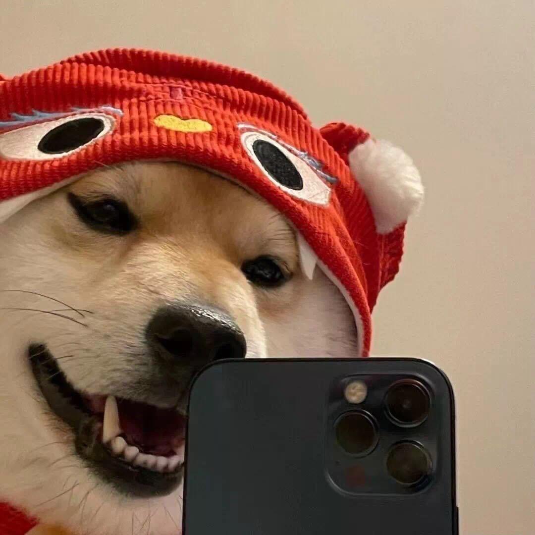 陽