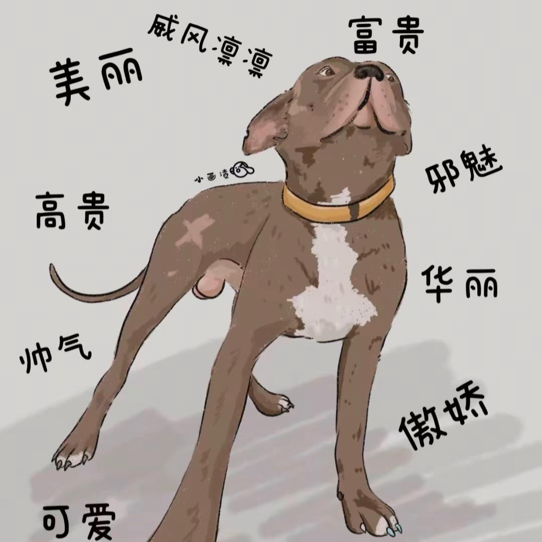 社会欣爷：连赞拉黑