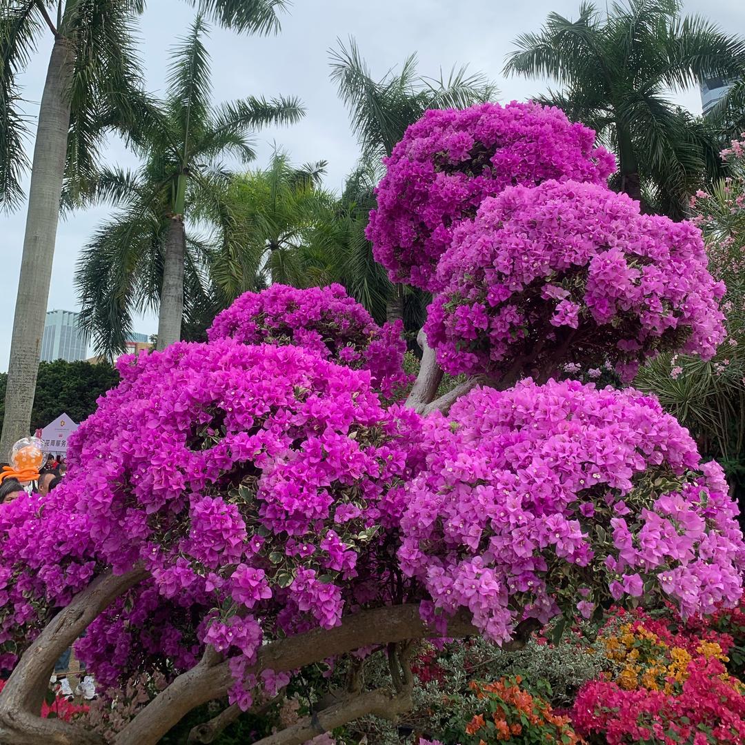 @珍珍平安喜乐！