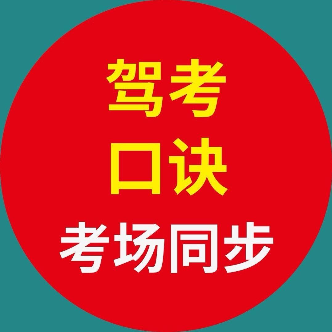 趣味驾考-龙教练