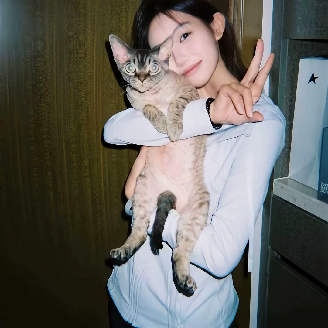 no也是漏🖤