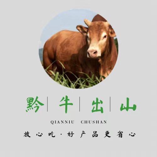 黔牛出山店