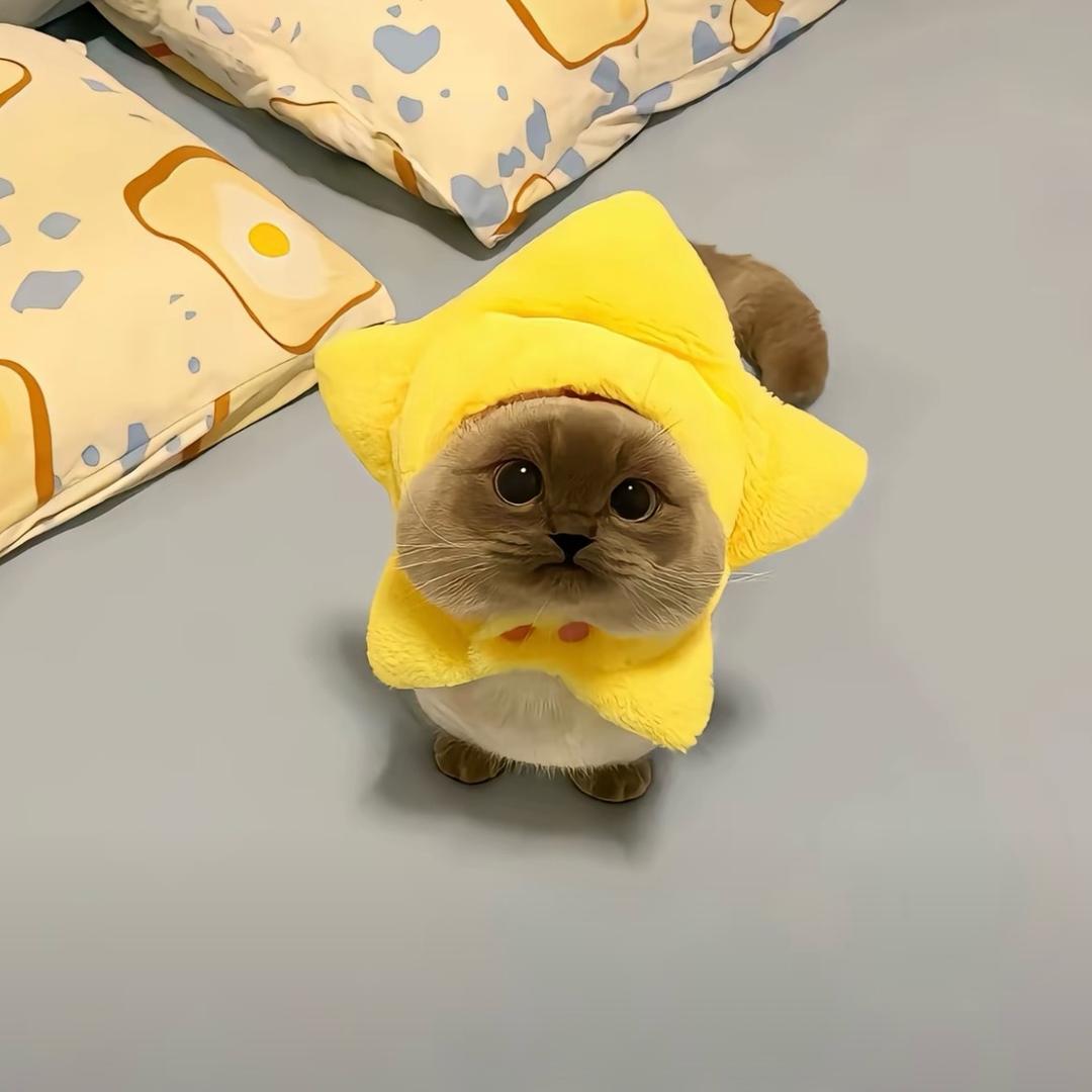 不蒜