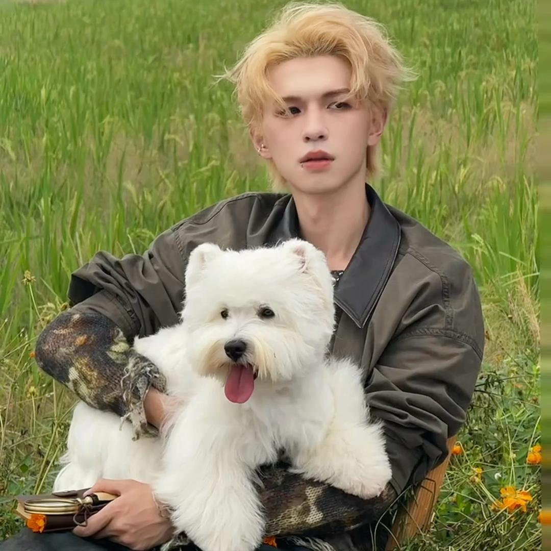 Limple.（见过十个勤天版）