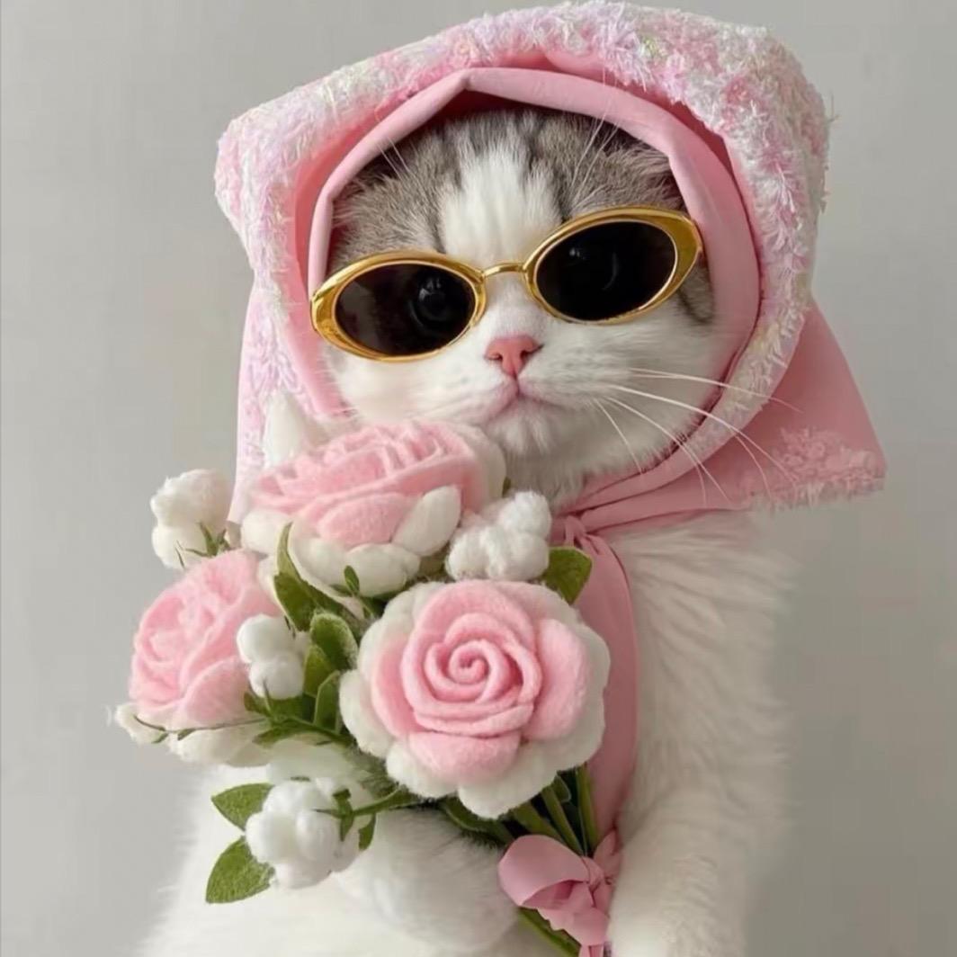💕猫南北