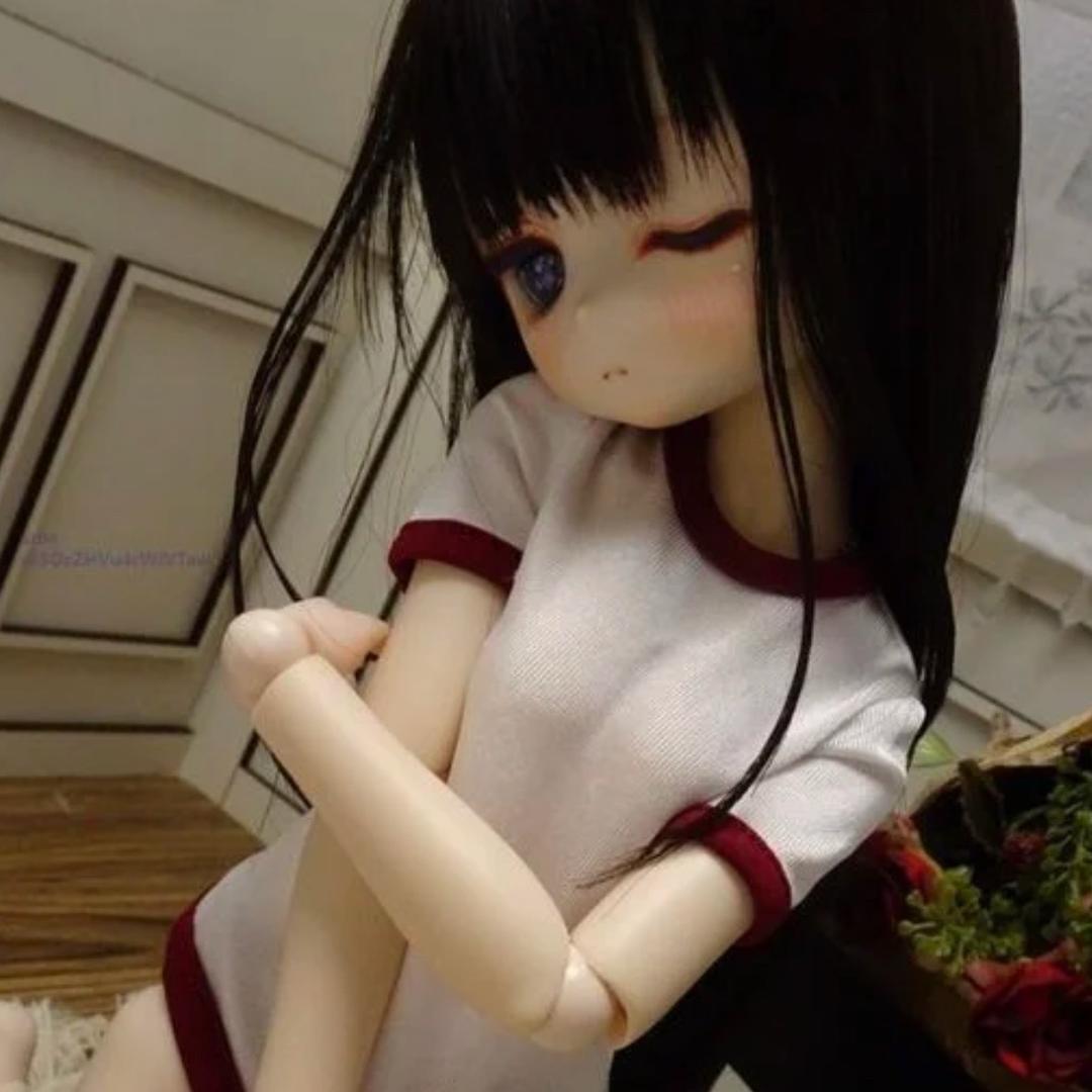 接骨花