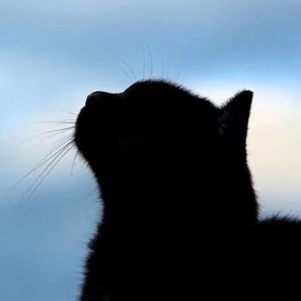 猫.佑🥀