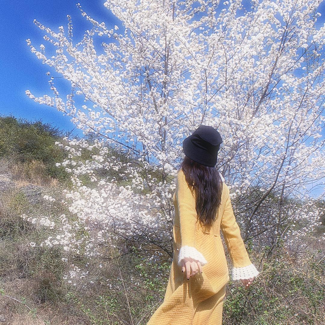 没有名字