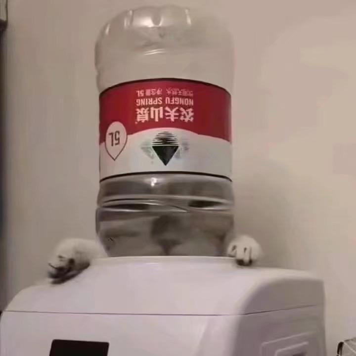 Qi77777