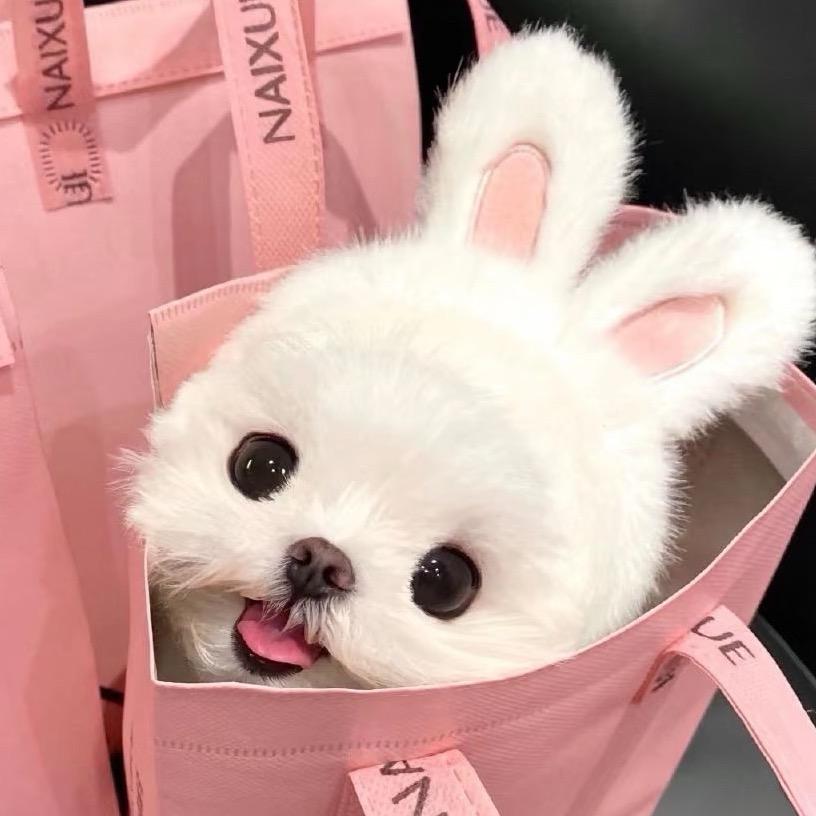 笑熙熙💕
