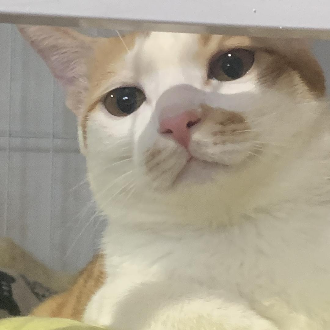 べつ に