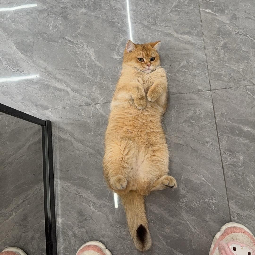 ☔️花花花花花🍭