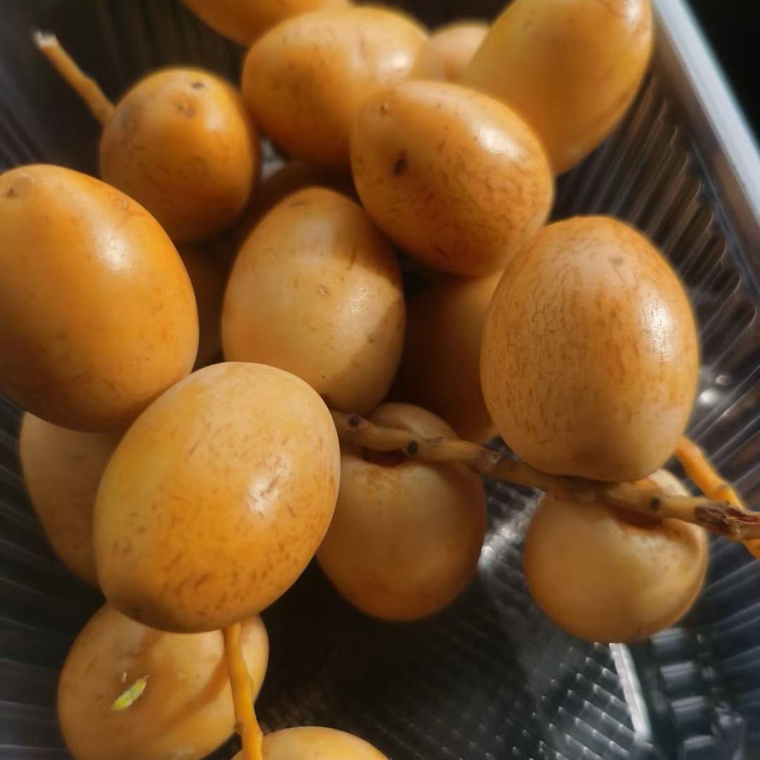 醉醉
