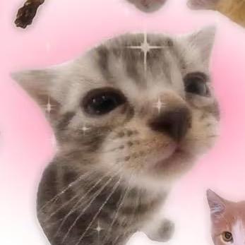 粉色小头鬼🔮
