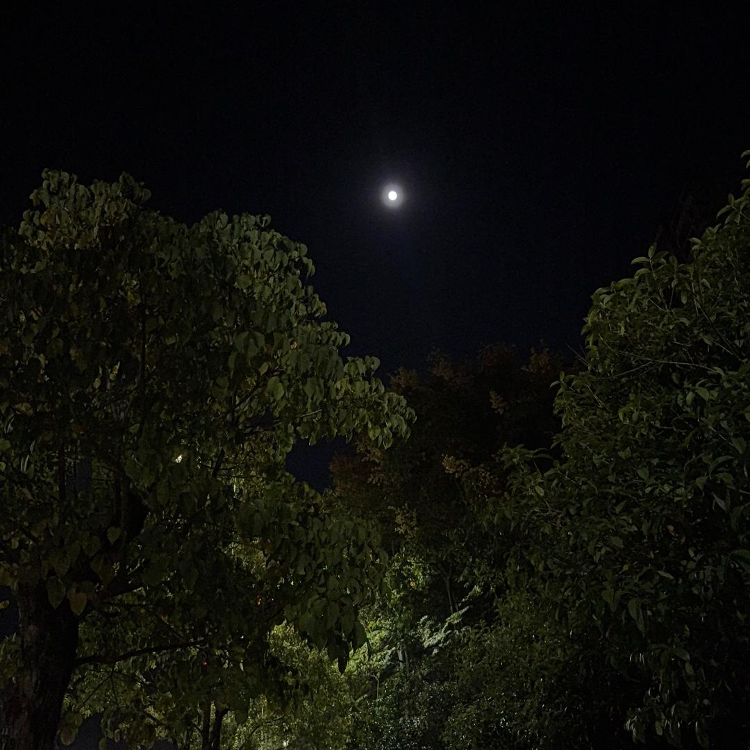 以后有你