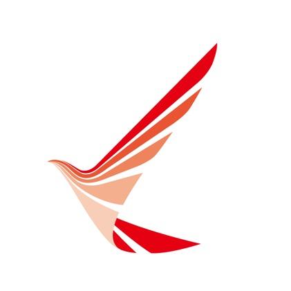 苏南瑞丽航空