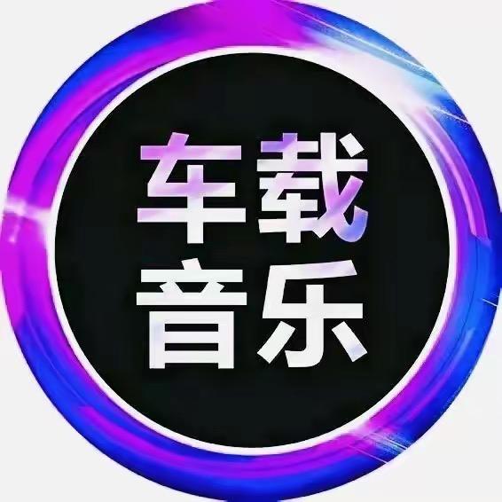 伤感情歌集（🉑️购优盘）