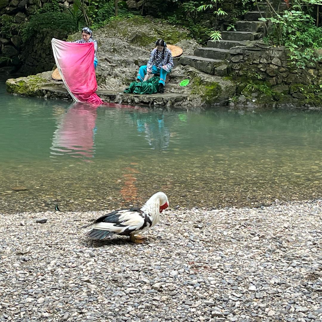 看破说破