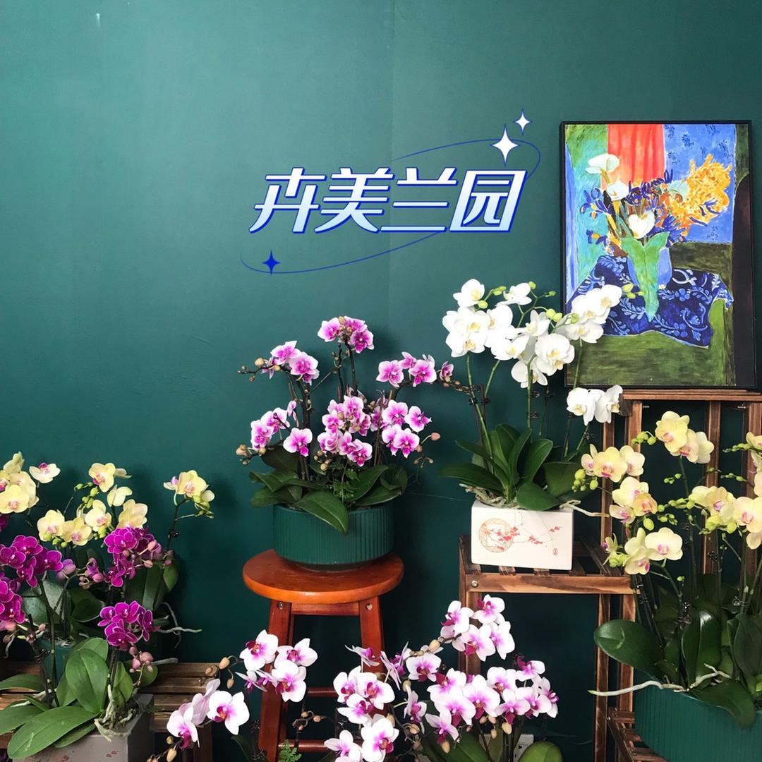 卉美兰园