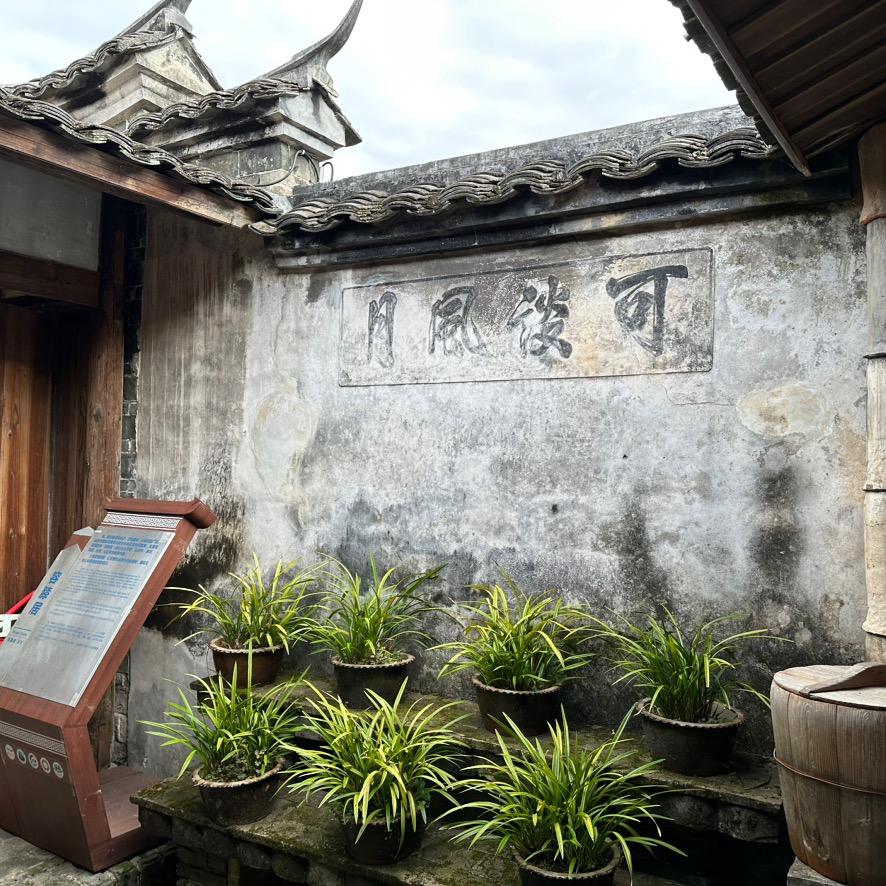 欢乐时光
