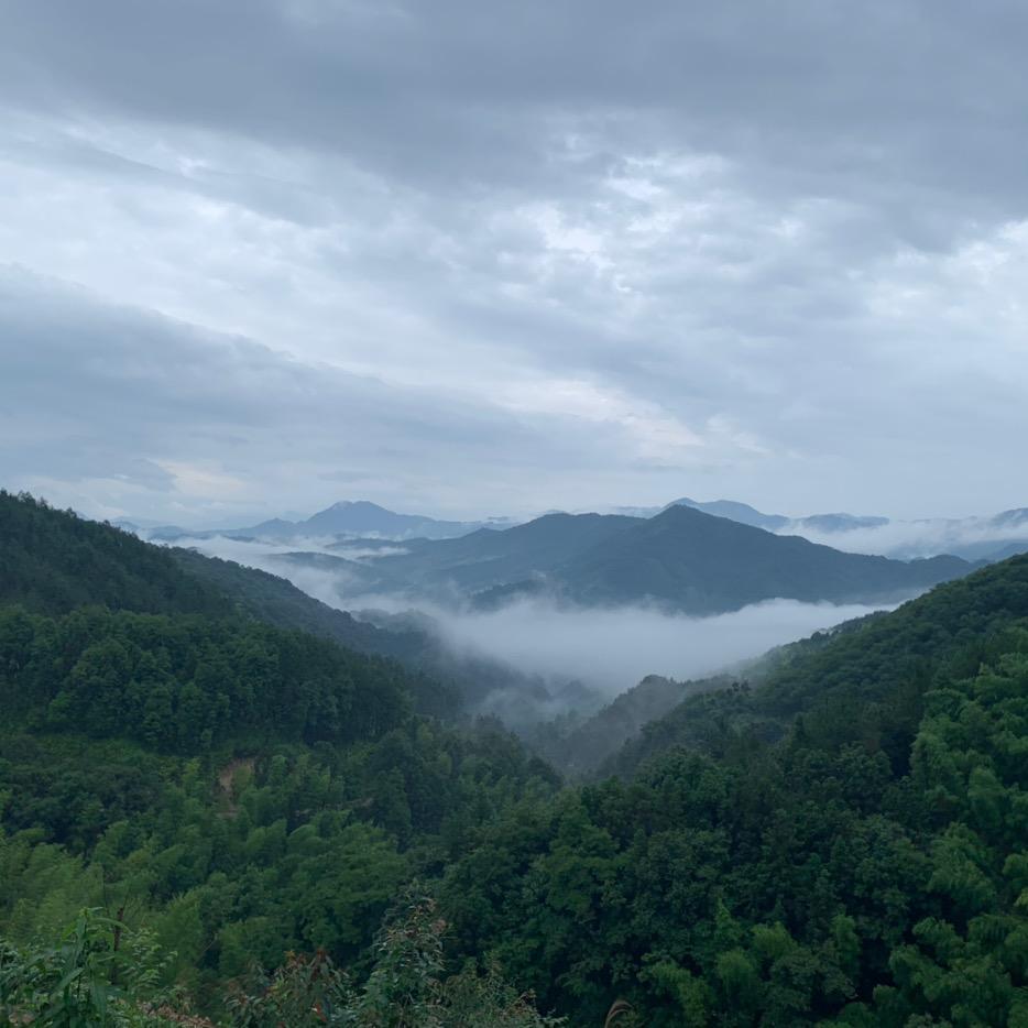 顺阳乡村发展有限公司