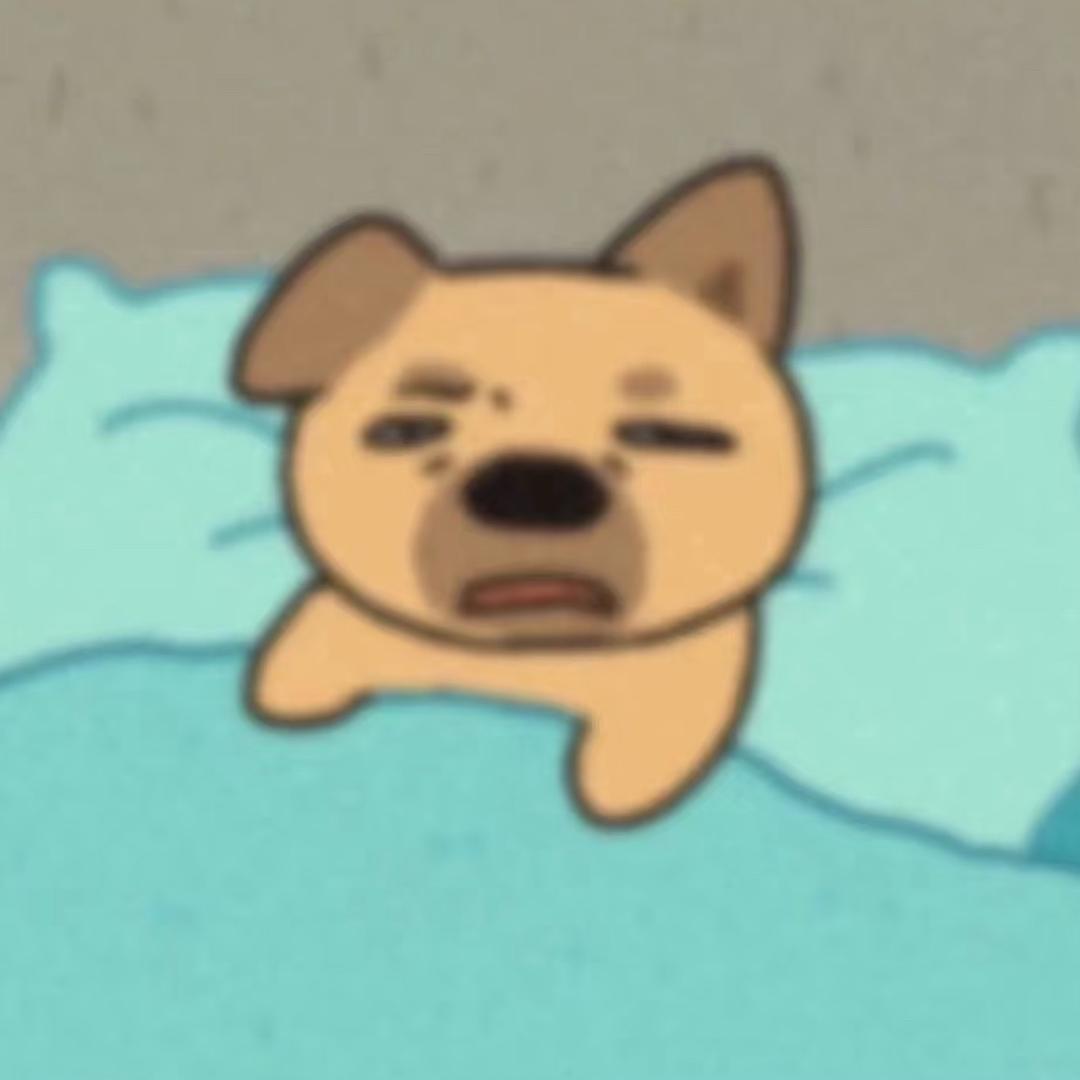 芯软软（考公版）