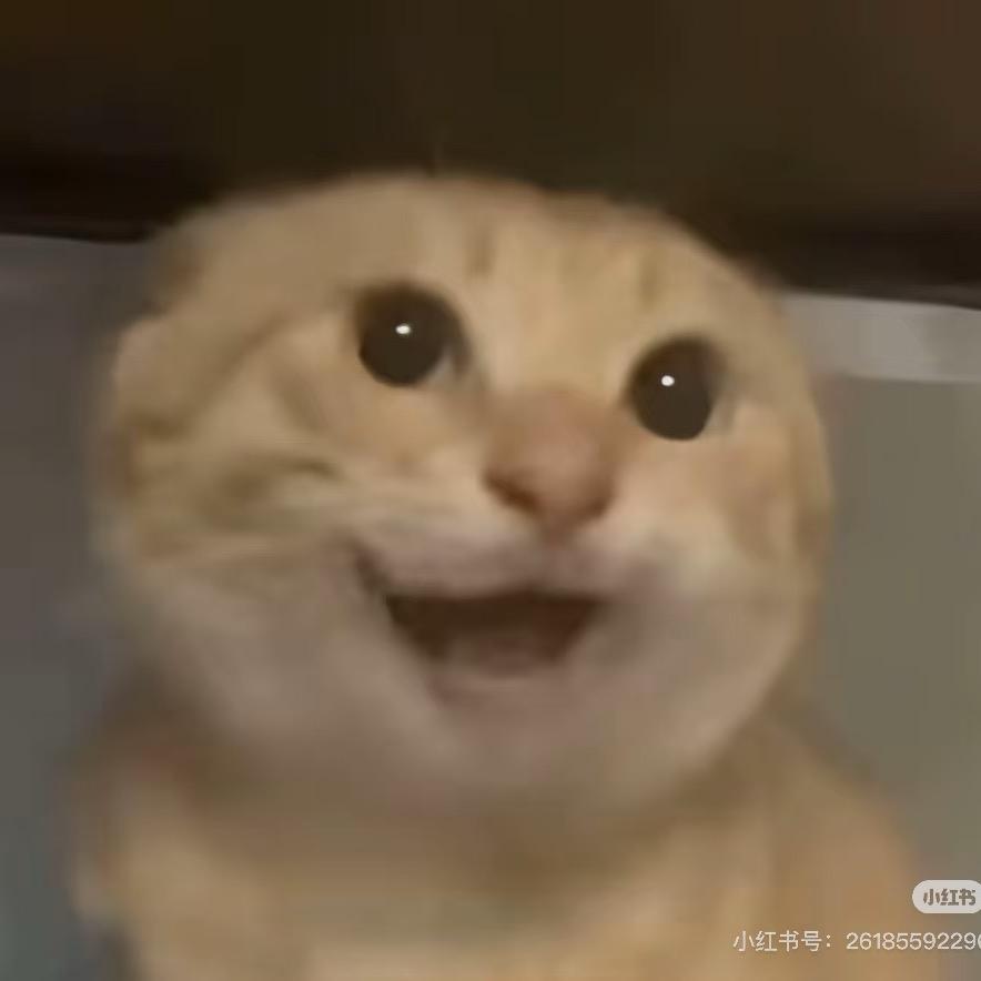 小雨-