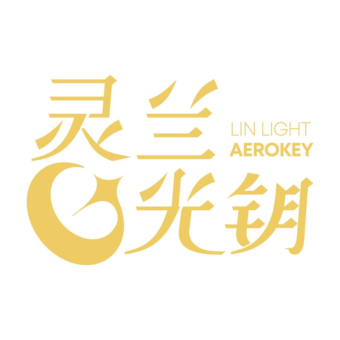 灵兰光钥膳食营养