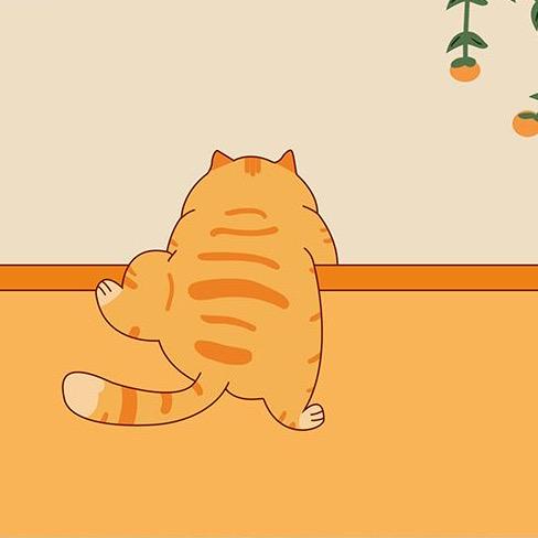 有一只猫潮玩