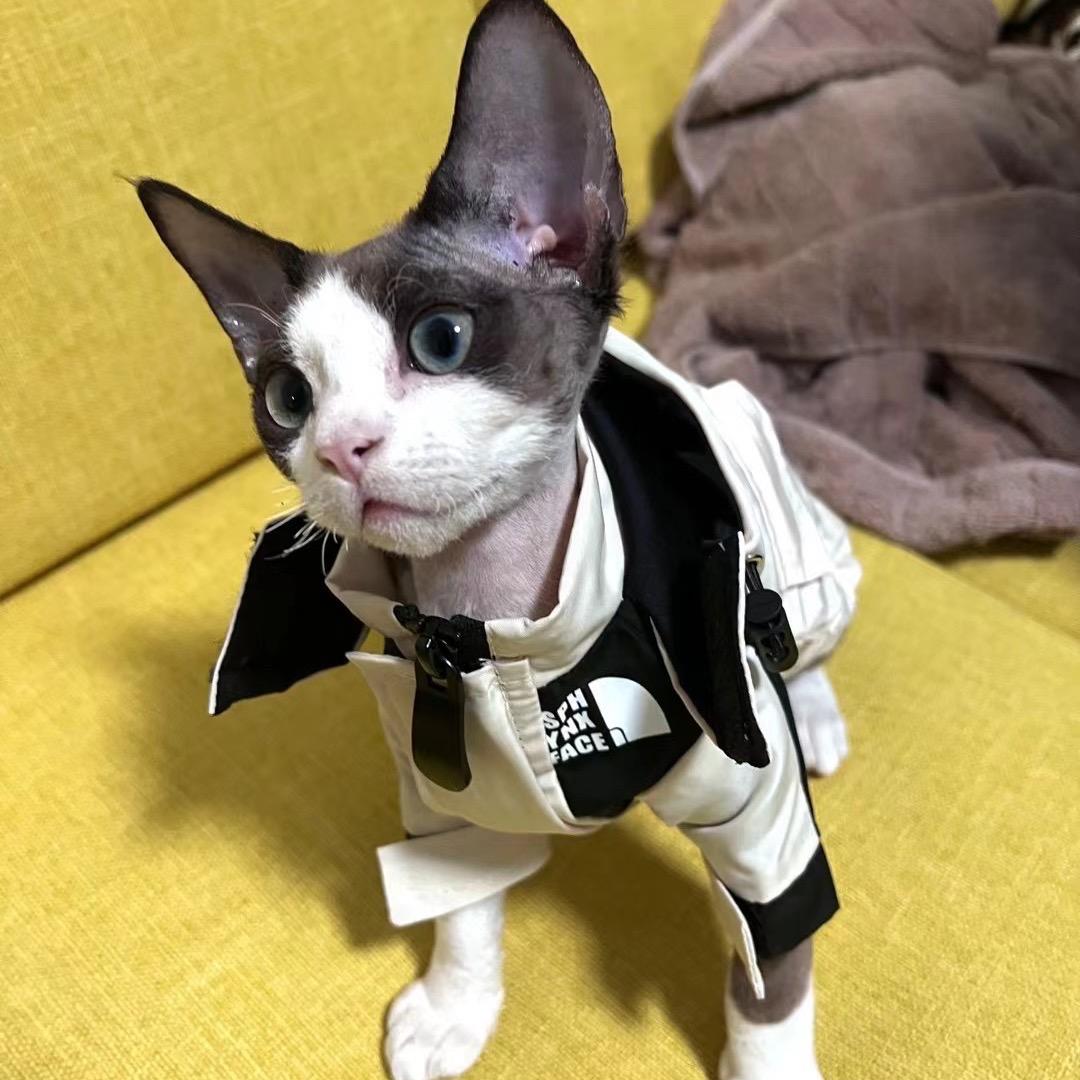 收奢侈品的大叔