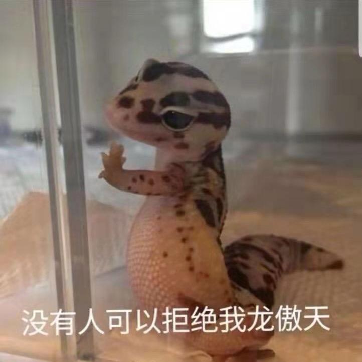 黄瓜两块五一斤