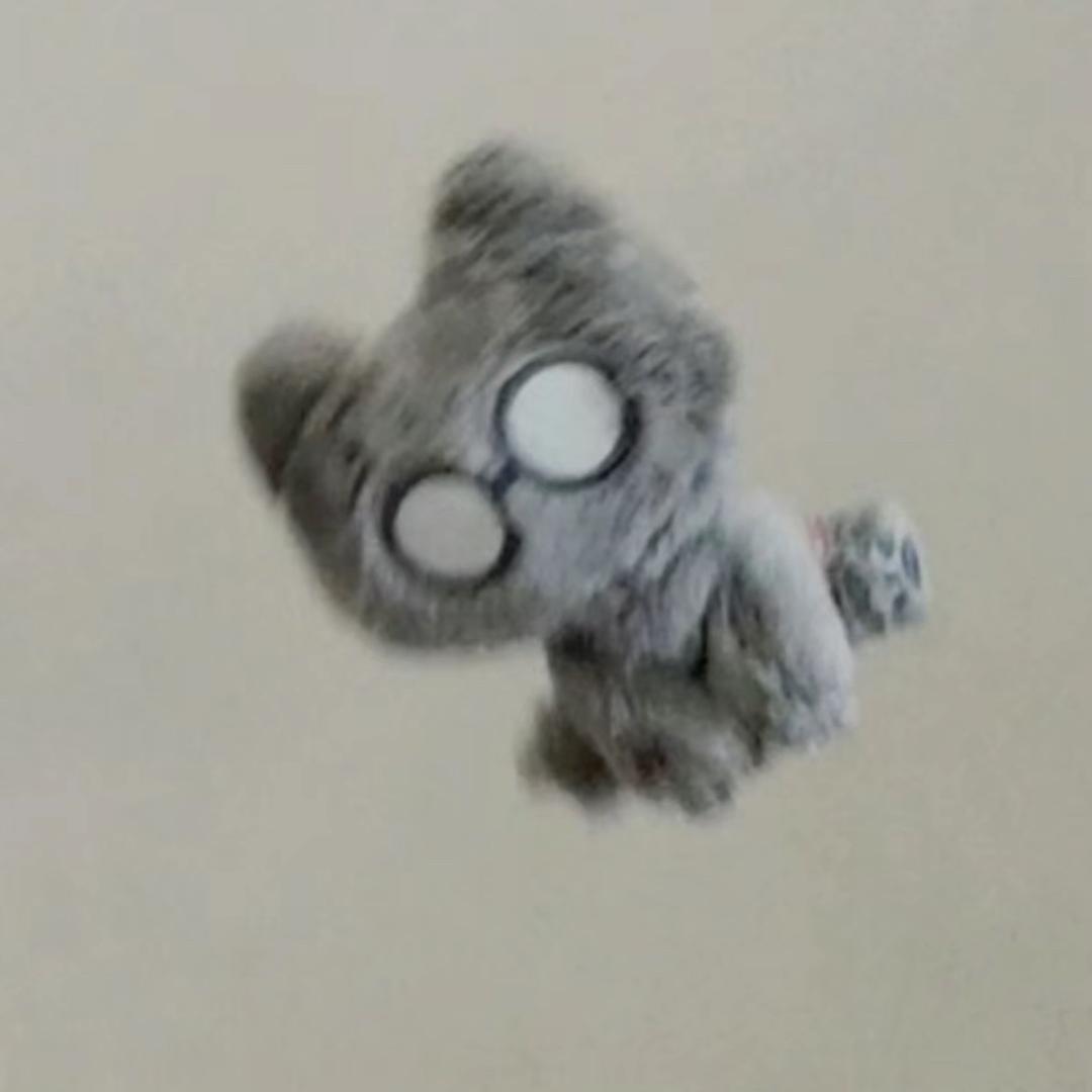 又又猫