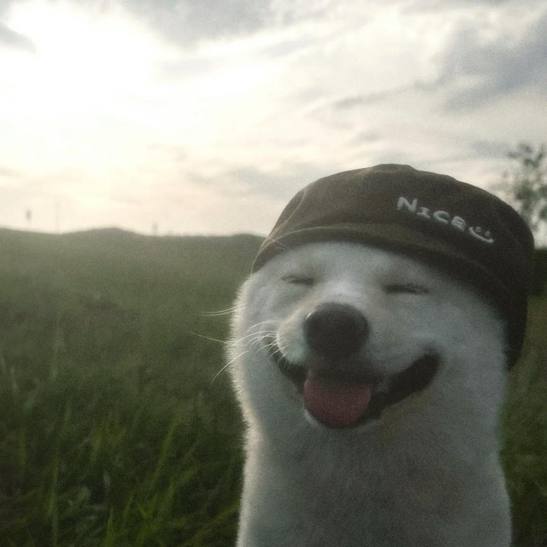 叫主人给你吃