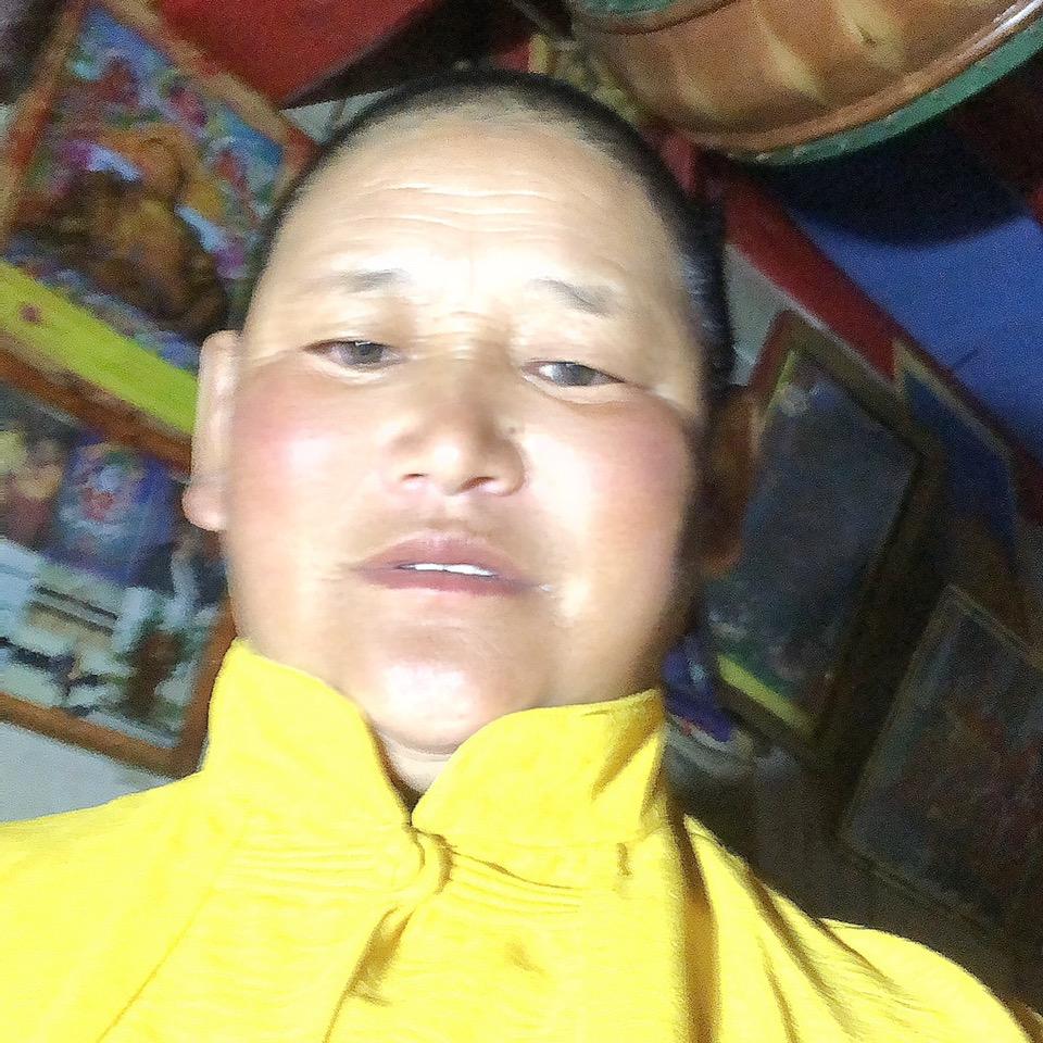 已重置