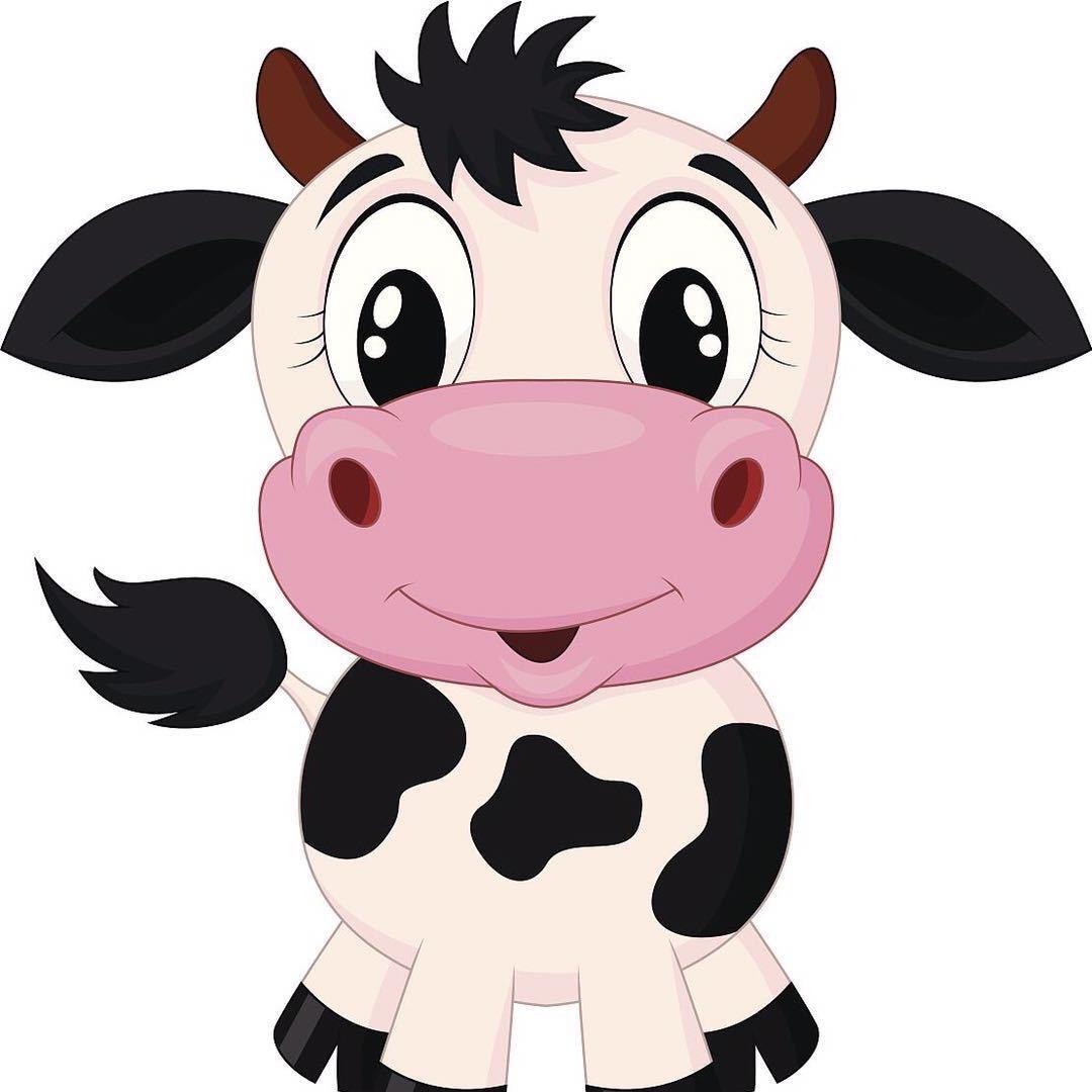 刚创业者：小黄