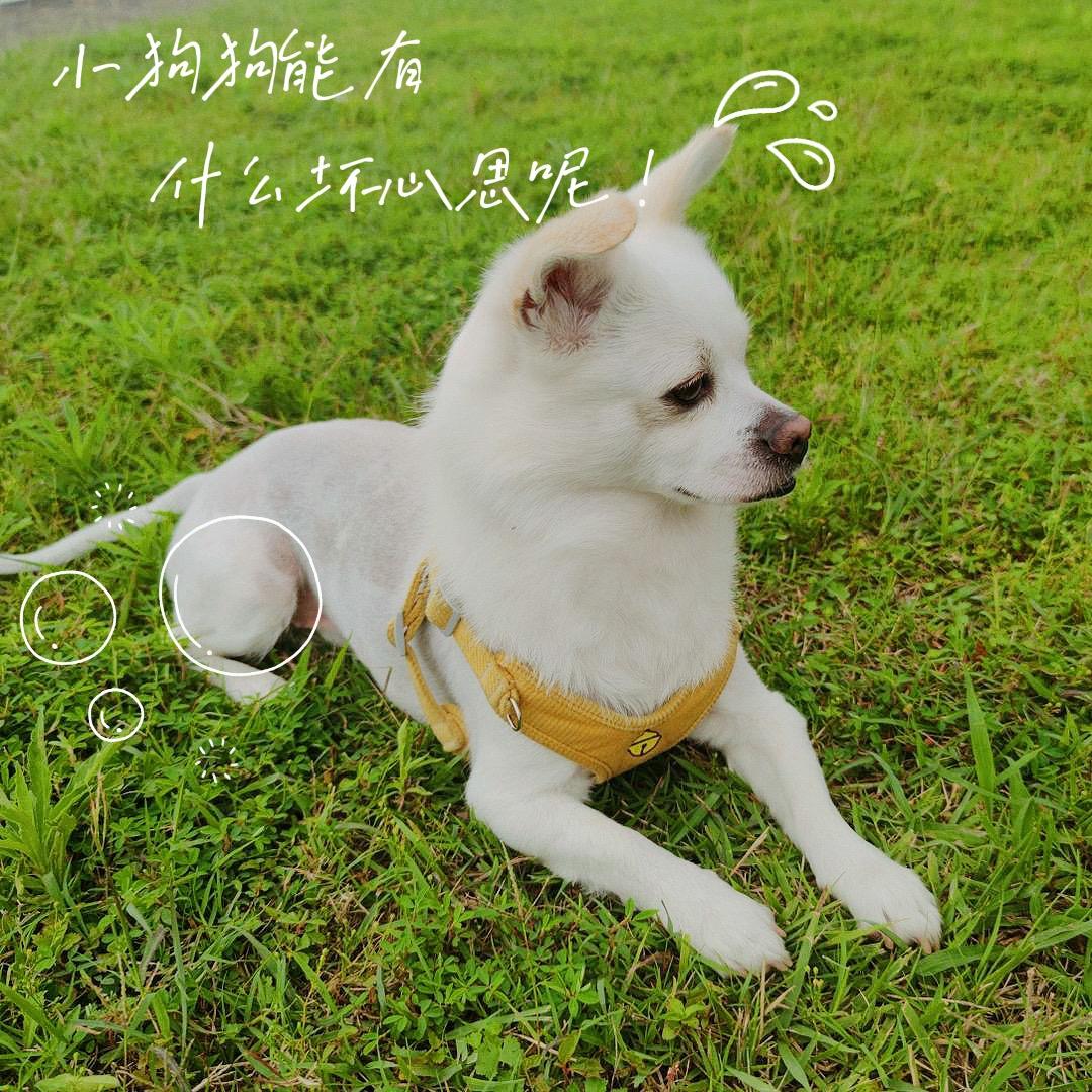 Sunny生活日记