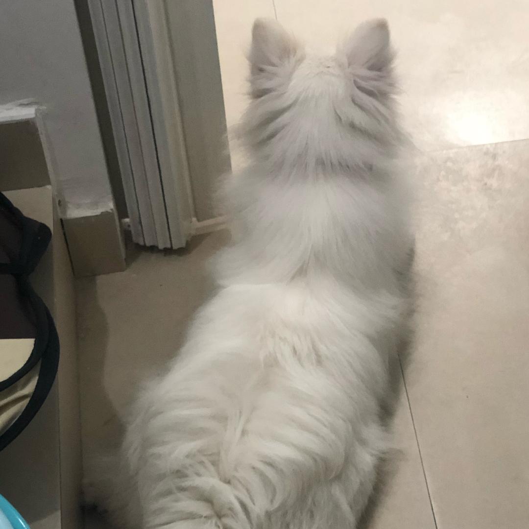 驻在大学城的不良人