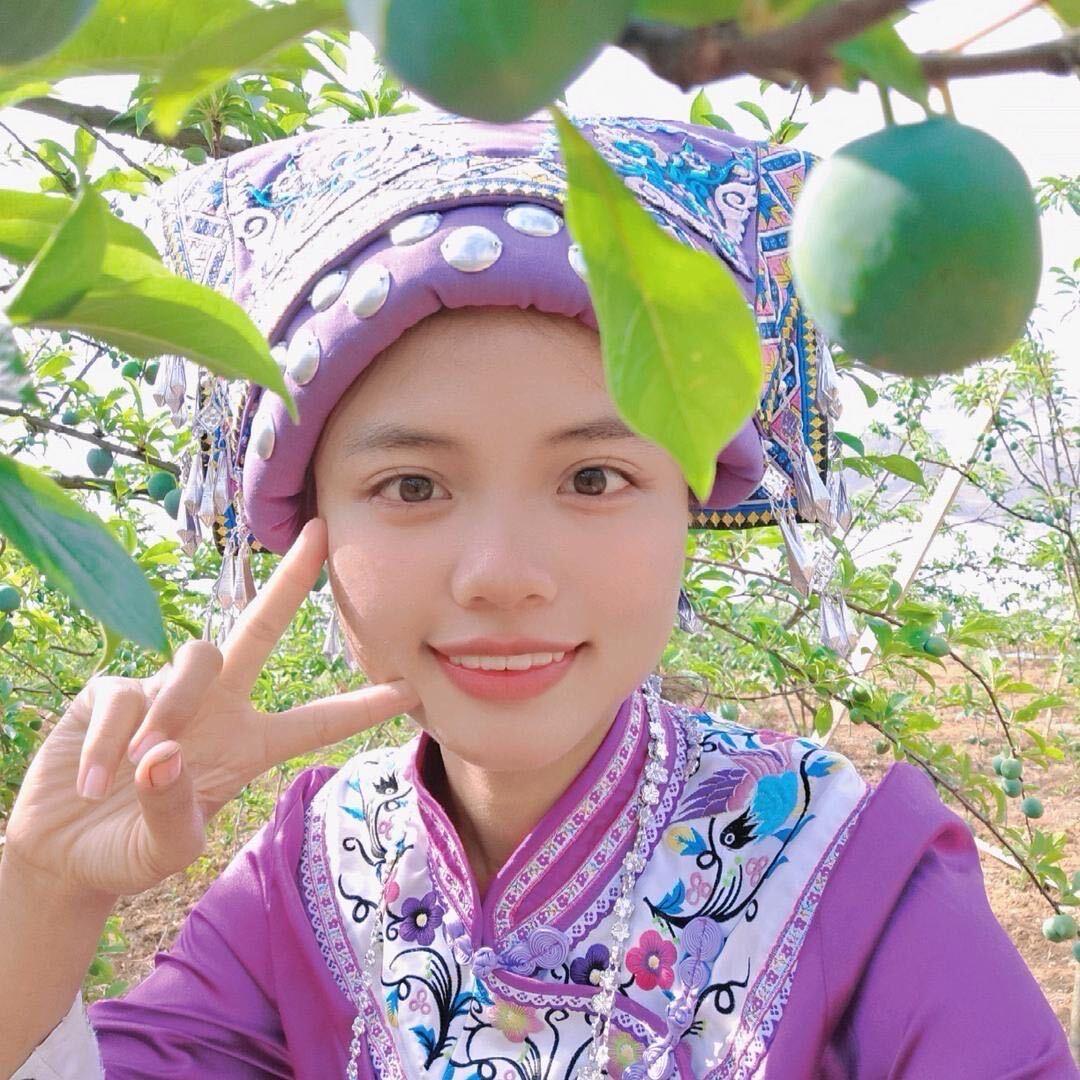 椰箩碧绿果树苗木专卖店