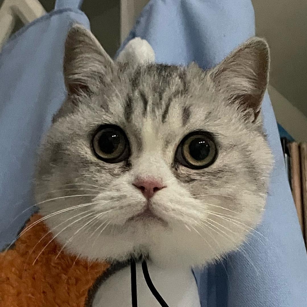 张小贤💗💗
