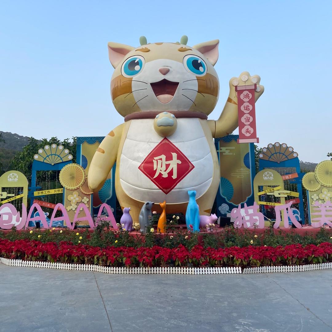 阳光…