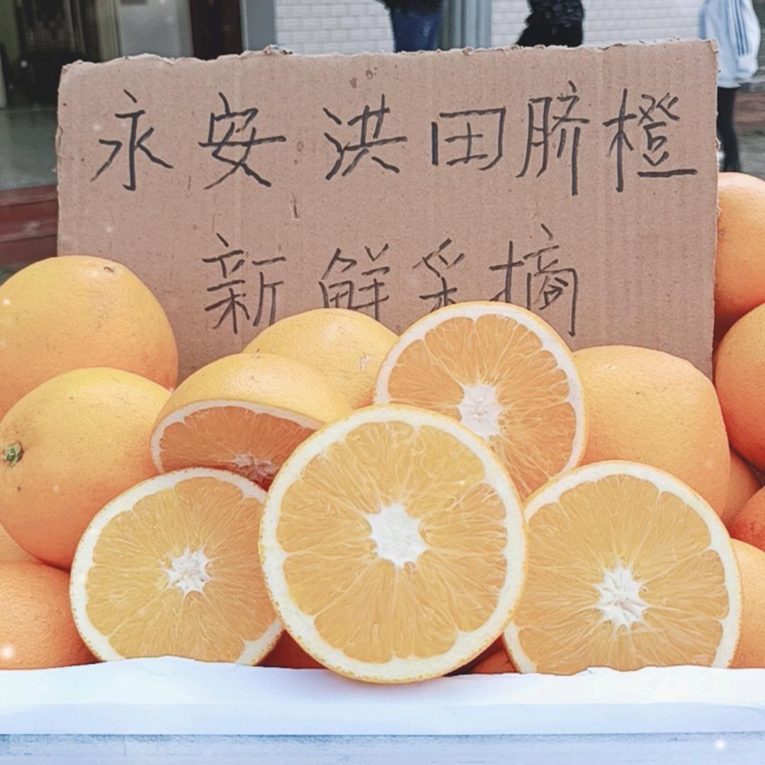 福建洪田脐橙（隔日送达）