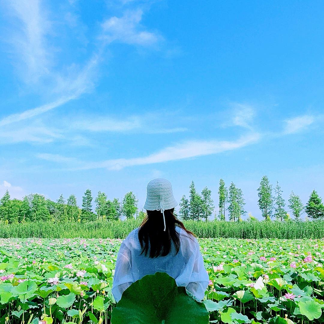 曳舞芳芳