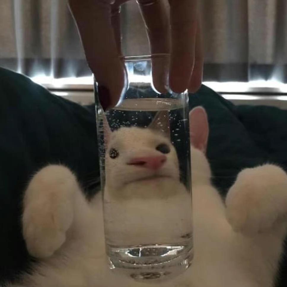 漂移e郭