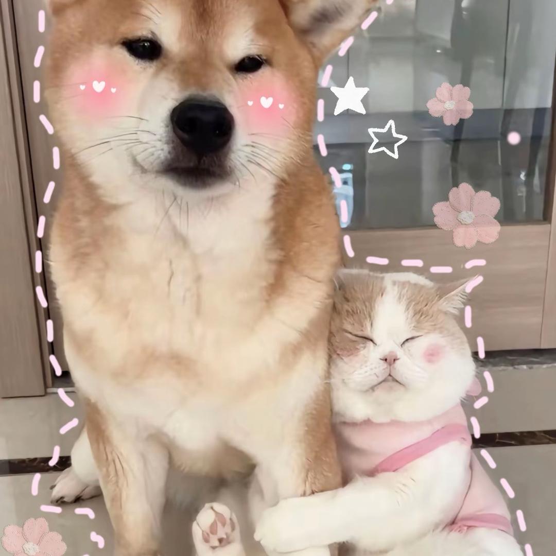王铁锤🔨