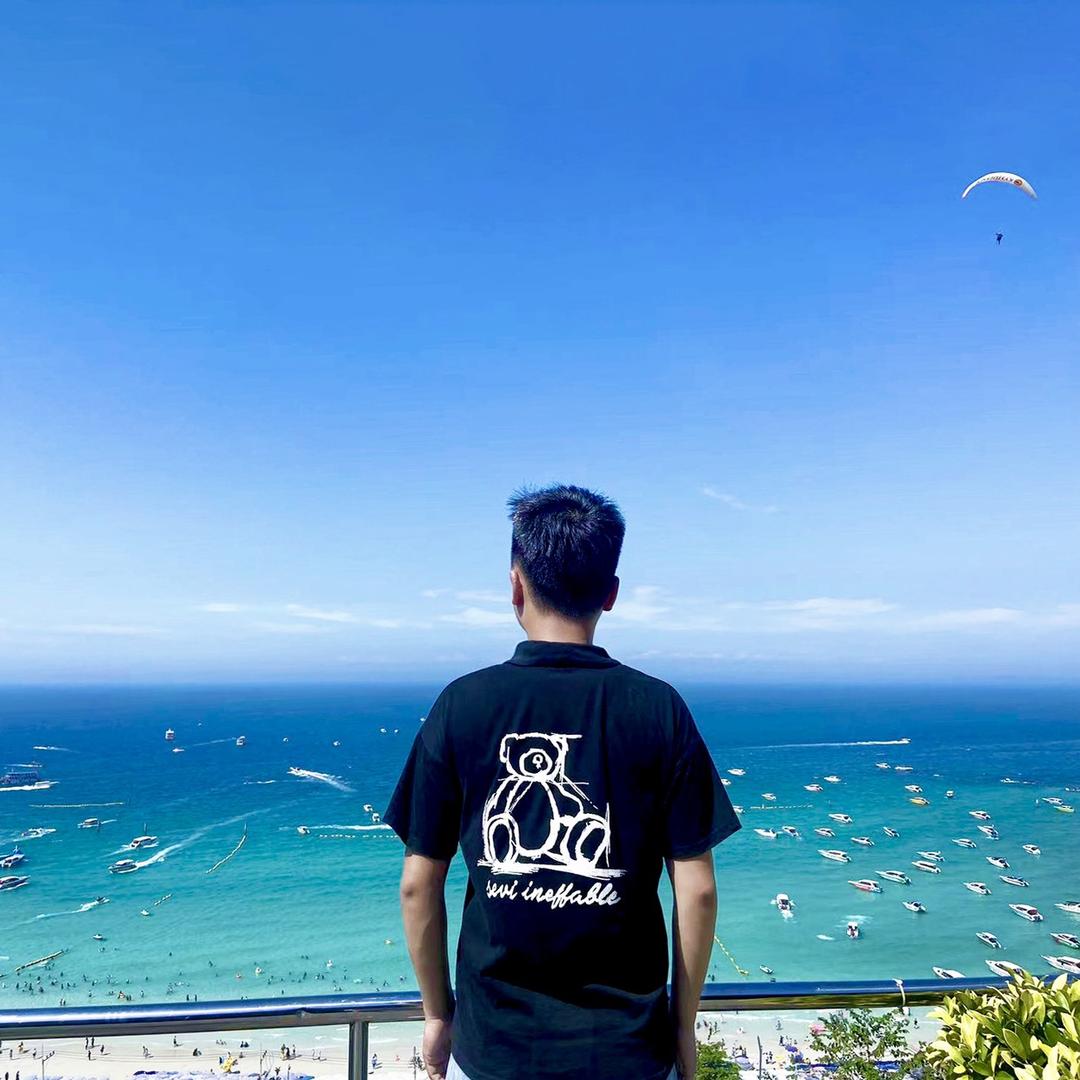 书生'